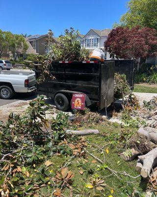 Green waste removal in rancho Santa Fe ca