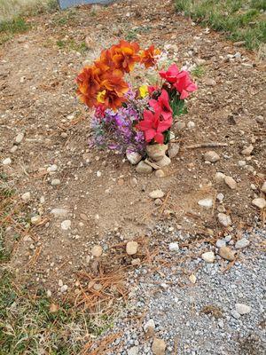 Christmas flowers for my dear departed