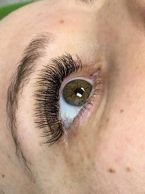 Volume Lashes