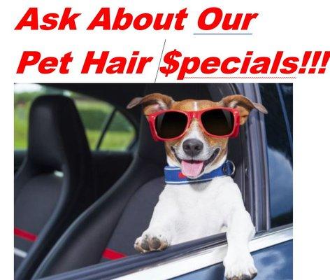 Pet Hair Specials!!!