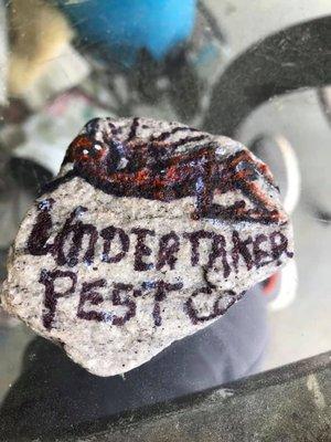 Undertaker Pest Control rock painted by customer