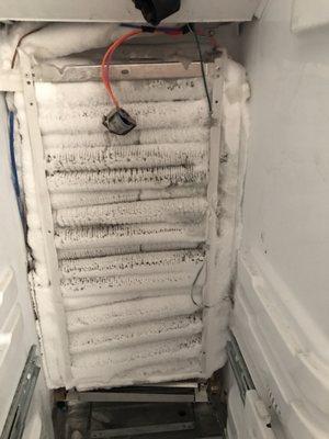 Frost froze my fridge and was not allowing air flow.  All was repaired and is working great now.