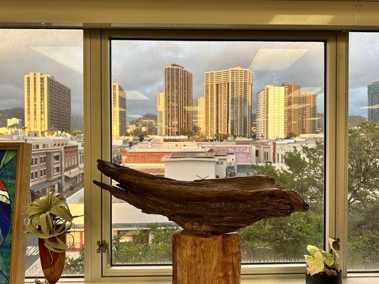 View of Honolulu from store window