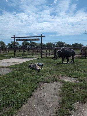 Buffalo Ranch of Woodshed