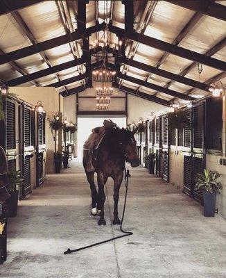 Inside main barn