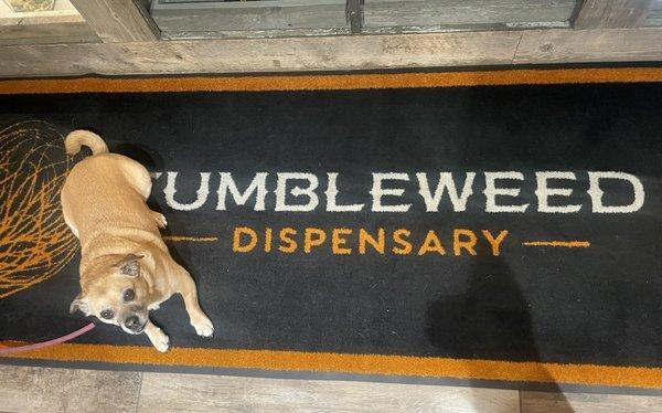 Tumbleweed Dispensary