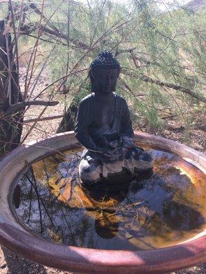 Peaceful little birdbath outside