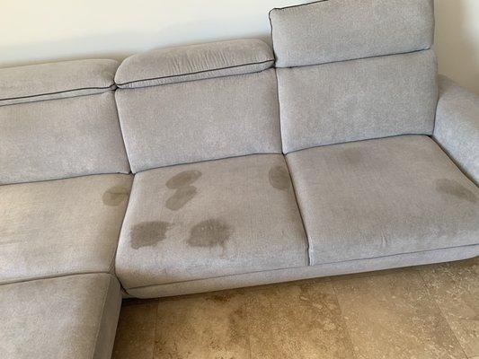 Stain couch BEFORE a nice clean