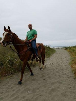 Equestrian-friendly beach