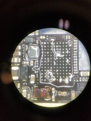 Microscope photo 1