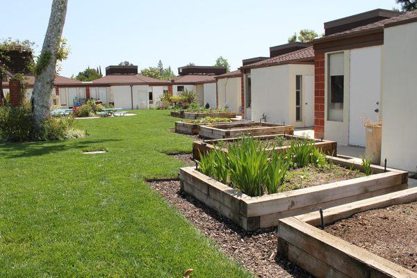 Each classroom has their own garden box where they can see the life cycles of plants, fruits, vegetables, or herbs.