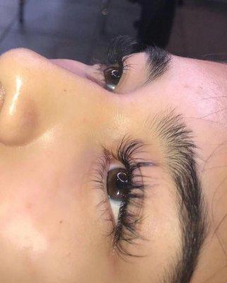 Hybrid Lash Set