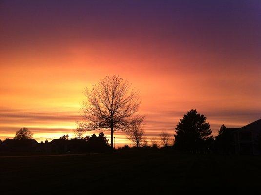 View from my patio.