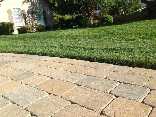 Paver Walkways