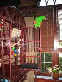 Doorskirts Parrot & Birdcage Accessories Cage Skirts