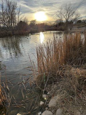 J Kenneth Smith Bird Sanctuary