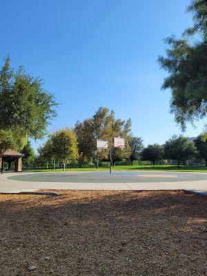 Bball hoops