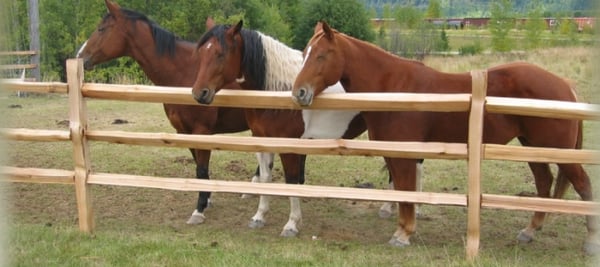 Split Rail Fence