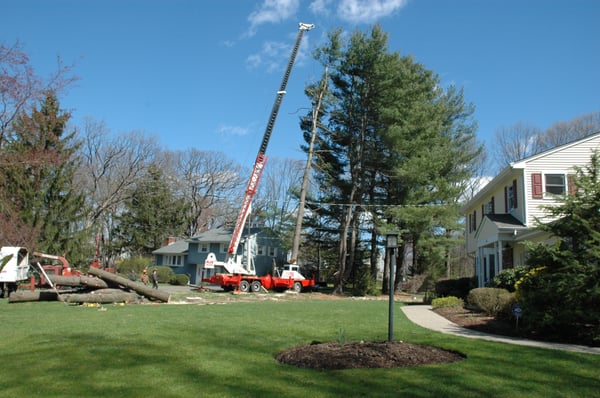 35 ton crane