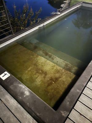 Pool with algae growing