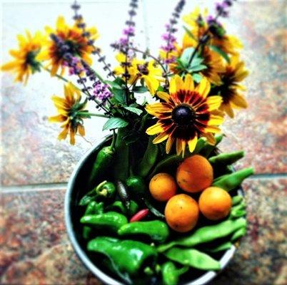 Homegrown organic fruits, vegetables, herbs and flowers