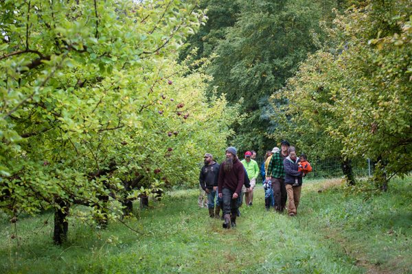 Join us for an orchard stroll.  Dates available on the website.