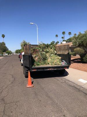 Hauling away all the tree/ plant debris.