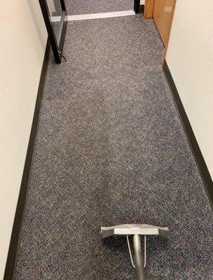 Commercial Carpet Cleaning