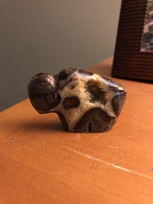 Septarian Buffalo - "We are Marshall!!!"