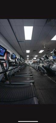 cardio equipment