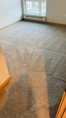 Carpet cleaning