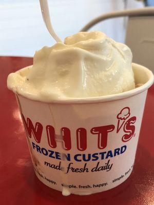 Delicious vanilla frozen custard