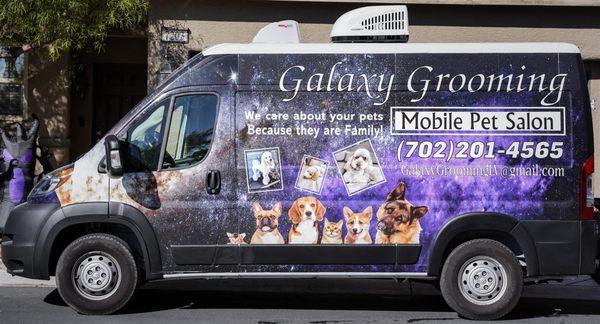 Galaxy Grooming provides comprehensive cat grooming services, catering to all your cat's grooming needs...