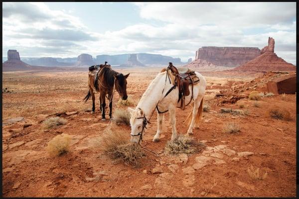 We can arrange onsite horse tours of the Navajo Tribal Park, Monument Valley