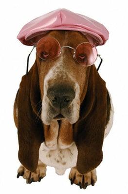 Basset Hound is our logo .... because we LOVE them!