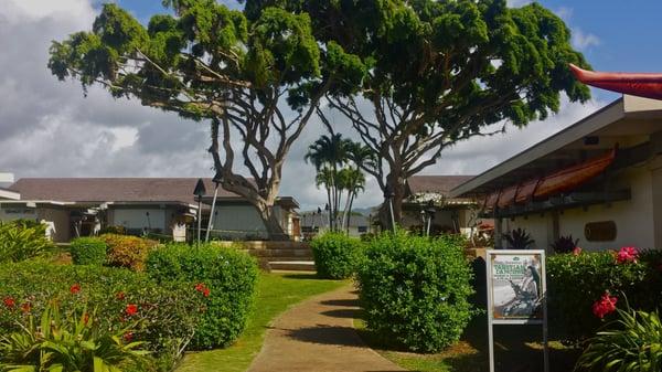 Poipu Shopping Center Grounds