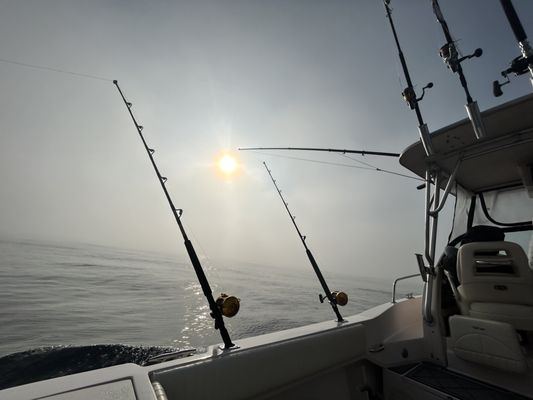 Early morning tuna trolling