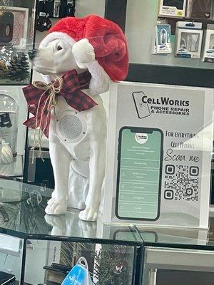 Feeling the Holiday Spirit here at CellWorks!