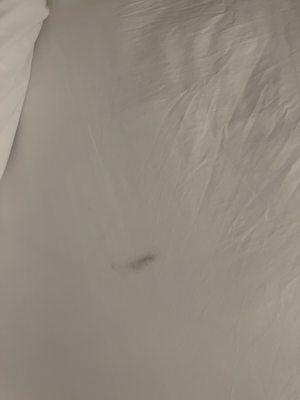 Bed stain