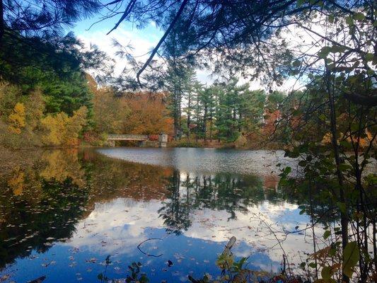 Shelton Lakes Recreation Path