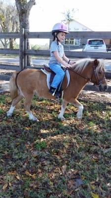 Hunter Under Saddle Riding Lessons for little ones too!