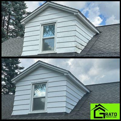 Siding Cleaning