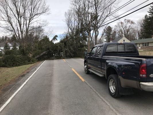 Storm damage