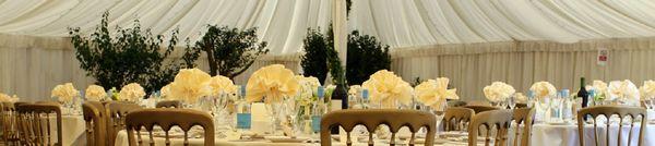 Elegant Events By Maria