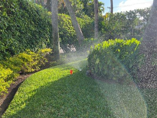 Irrigation Maintenance