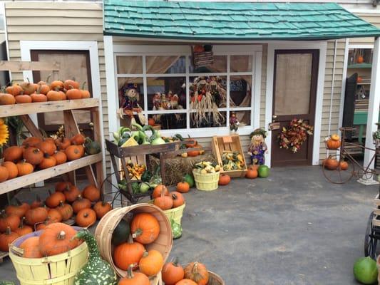 October with locally grown pumpkins