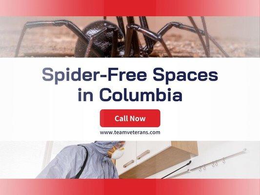 4_Team Veterans Pest Control_Spider-Free Spaces in Columbia.jpg