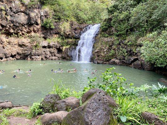 "Waimea Waterfalls: Nature's gem on Oahu's North Shore. A serene cascade surrounded by lush greenery.  Perfect for a tranquil dip!