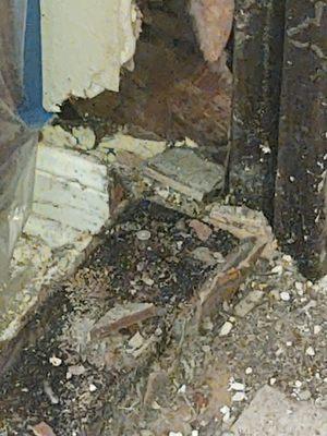 Studs with dry rot and mold due to improper installation. Dry rot and mold due to improper installation.