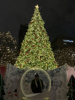 Christmas shenanigans in Rice Park.